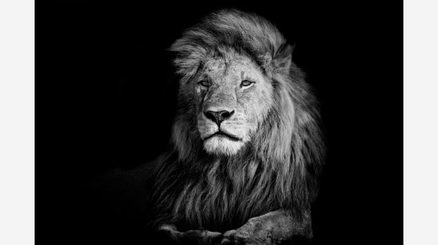 Cuadro de cristal The lion king